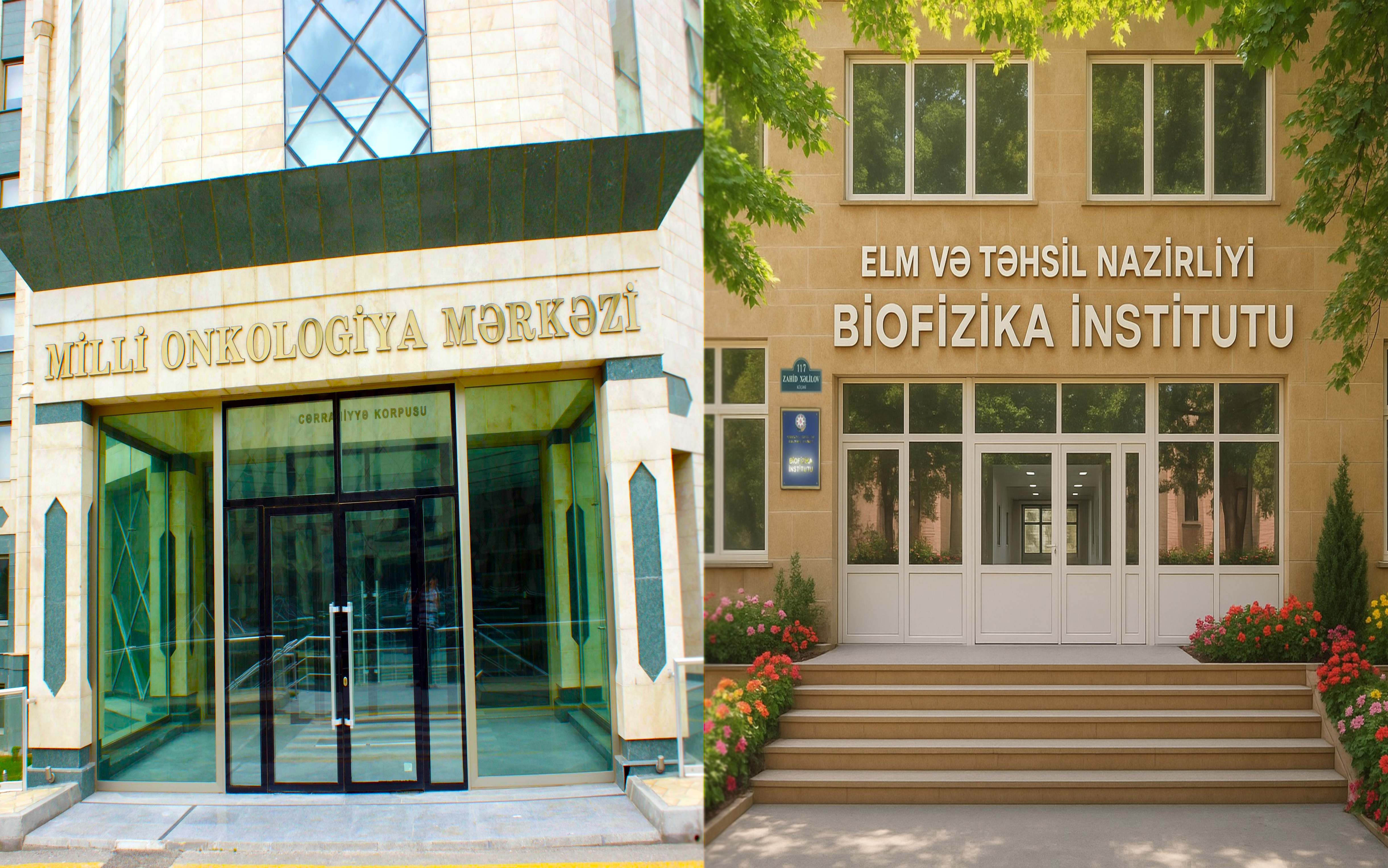 A New Mechanism of Cancer Formation and Development